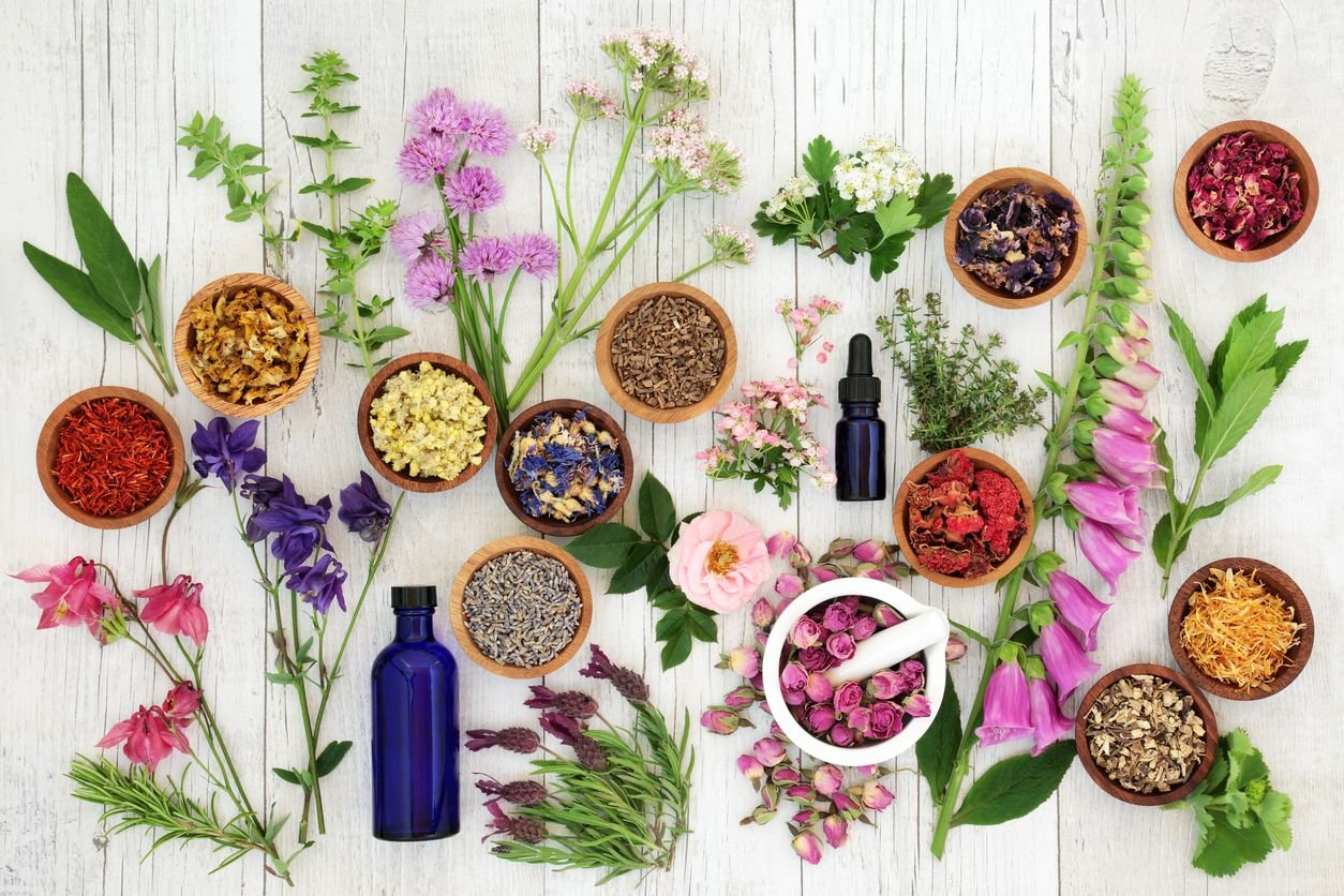 Aromaterapia: os óleos essenciais que ajudam a trazer a calma ...