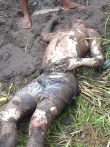Catador de caranguejo é encontrado morto
