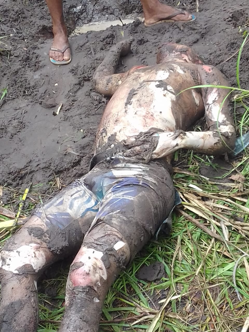 Catador de caranguejo é encontrado morto