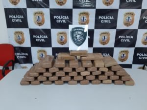 43 peças de maconha apreendida
