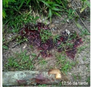 Manchas de sangue no local onde foi encontrado