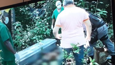 Polícia trabalha nas investigações