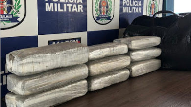 Tabletes de maconha apreendido