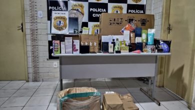 Parte da carga apreendida pela policia