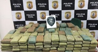 250 KG de maconha prensada apreendida