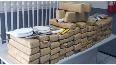 78 kg de maconha