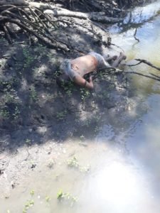 Corpo encontrado na beira do Mangue, na praia de Panaquatira
