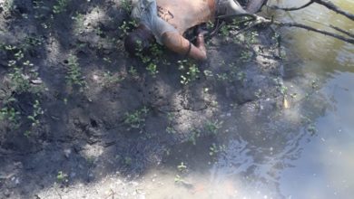 Corpo encontrado na beira do Mangue, na praia de Panaquatira