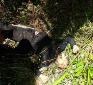Criminosos reagiram a intervenção da Polícia