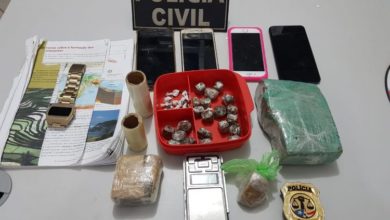 Droga apreendida pela Polícia Civil durante operação