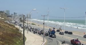 imagem reprodução