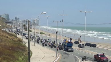 imagem reprodução