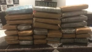 31 KG de maconha apreendida