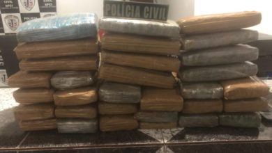 31 KG de maconha apreendida