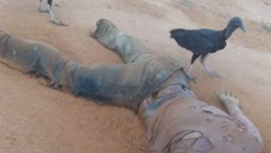 Corpo de homem é encontrado no lixão