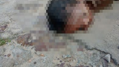 Parte do corpo da criança foi devorado por urubus