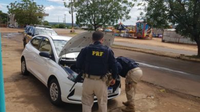 Policiais vistoriando os veículos suspeitos