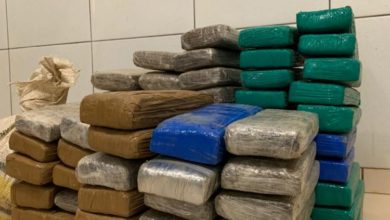 Tabletes de maconha apreendidas pela Polícia Civil