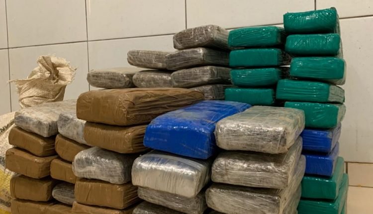 Tabletes de maconha apreendidas pela Polícia Civil