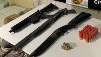 Armas de grosso calibre e munições
