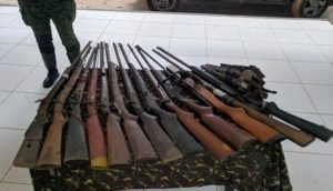 Armas próprias para atividade de caça