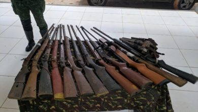 Armas próprias para atividade de caça