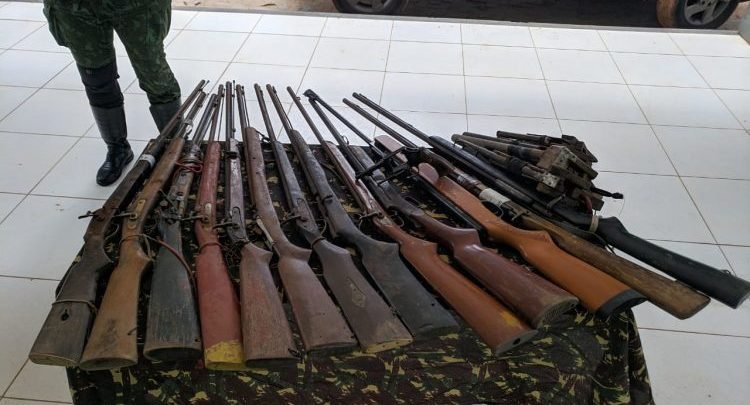 Armas próprias para atividade de caça