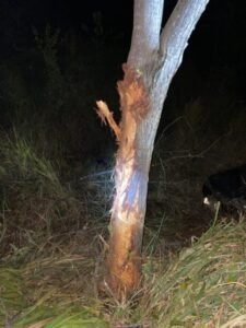 Carro colidiu com a árvore