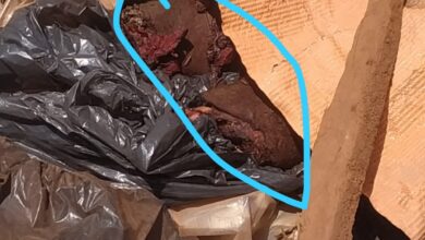 Corpo encontrado no lixão na Estrada do Cajueiro