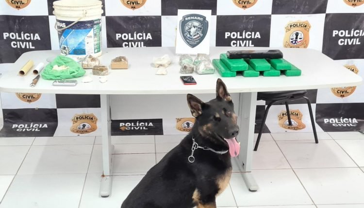 Cão farejador, Baruk, auxiliou no trabalho de localização da droga