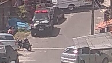 IML no local