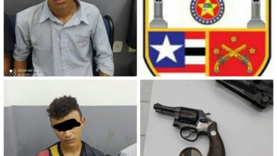 PMMA divulgação