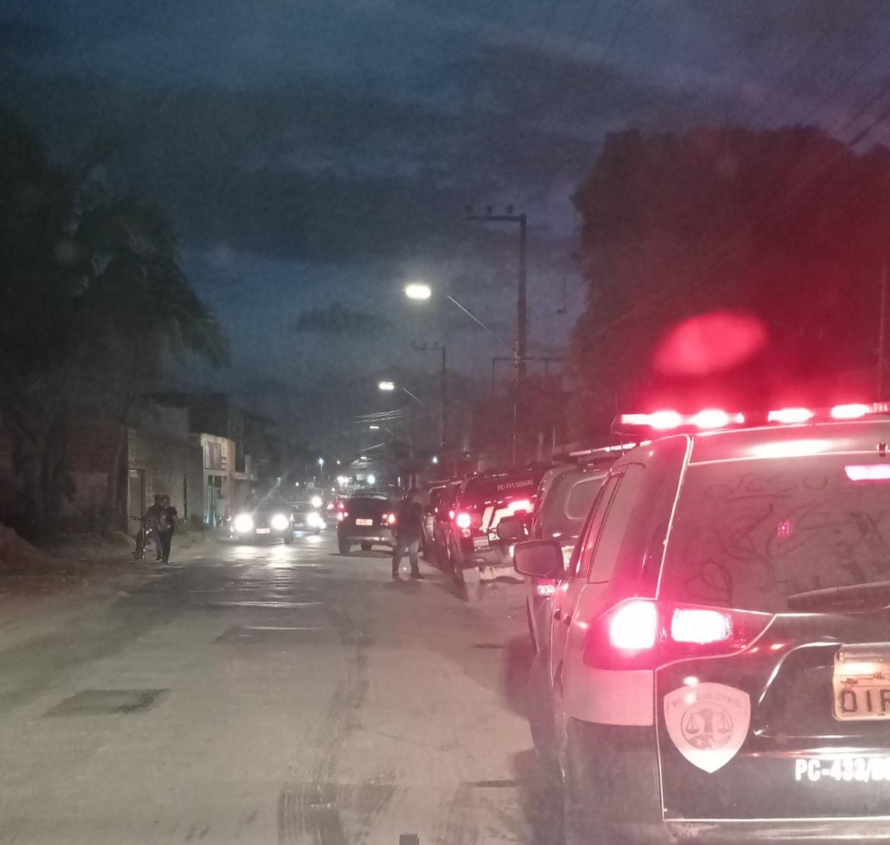 Reprodução
