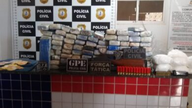 81 kg de maconha e seis kg de cocaína (divulgação PCMA)
