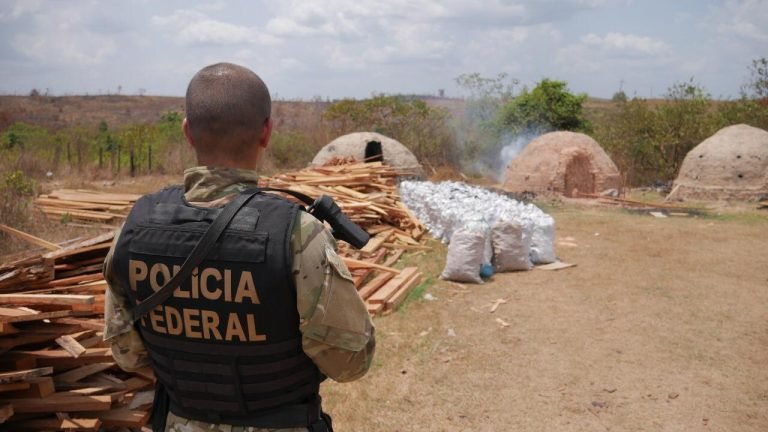 Ibama e Polícia Federal em ação conjunta