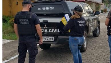 divulgação -