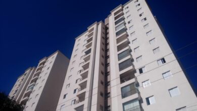 Imagem Reprodução