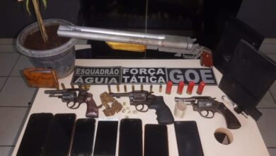 Armas de fogo que estavam em posse do Grupo criminoso
