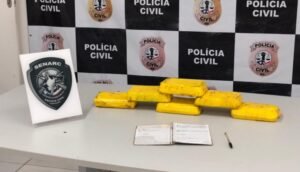 Foto divulgação PCMA. Droga apreendida