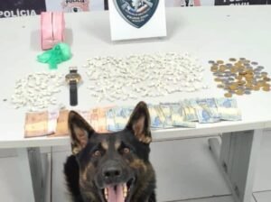 Polícia usou um cão farejador para auxiliar na apreensão do entorpecente