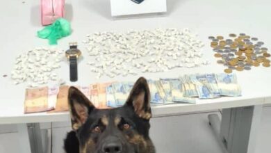Polícia usou um cão farejador para auxiliar na apreensão do entorpecente