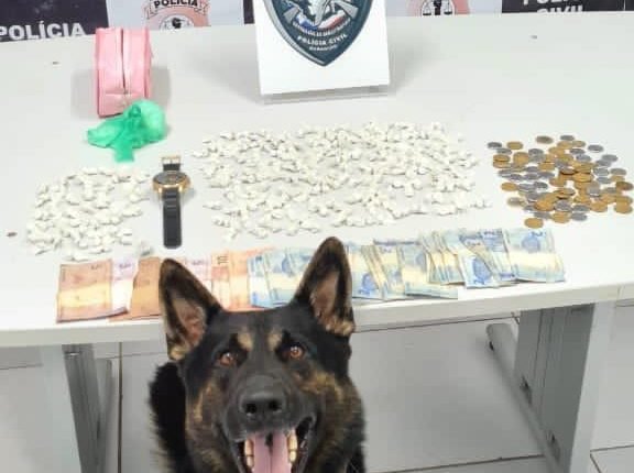 Polícia usou um cão farejador para auxiliar na apreensão do entorpecente