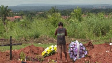 1 ano da Covid-19 no Maranhão Os erros e acertos, segundo especialistas