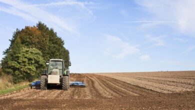 Agronegócio se torna locomotiva também na educação e registra crescimento de 42%, segundo dados da Unicesumar