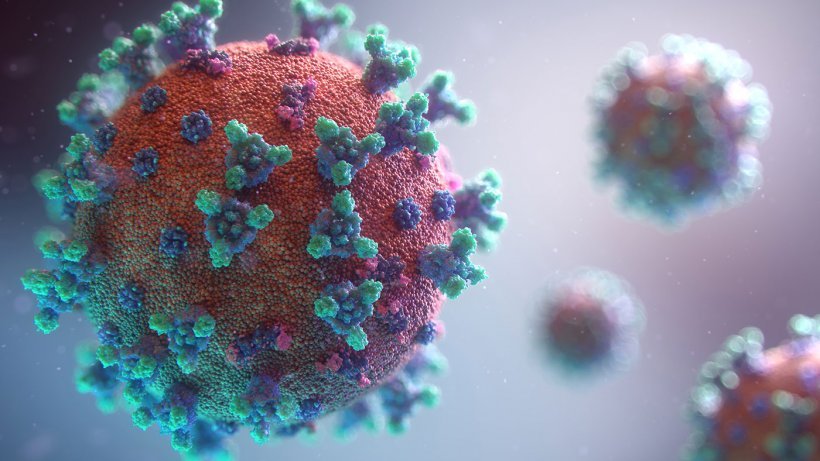 Anticorpo de covid-19 dos laboratórios Vir e GSK tem 'grande eficácia