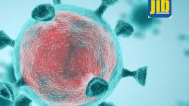 Brasil bate novo recorde e acumula 10 mil mortes por Covid em uma semana; médias de mortes e de casos são as maiores da pandemia