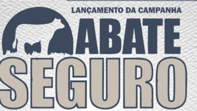 Campanha abate seguro sinfa maranhão LANÇADA