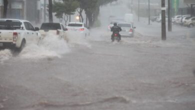Chuva forte alaga vias, derruba árvores e deixa motoristas ilhados em São Luís