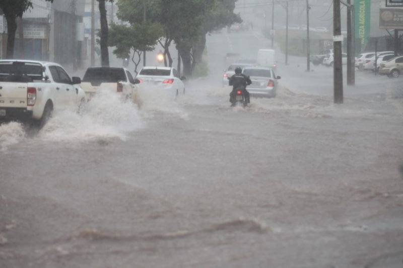 Chuva forte alaga vias, derruba árvores e deixa motoristas ilhados em São Luís