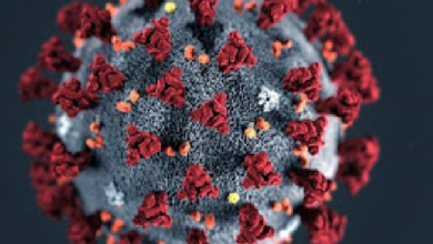 Cientistas brasileiros identificam possível nova linhagem do coronavírus